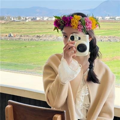 完美的独裁国家
