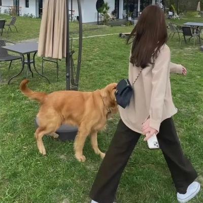 危情